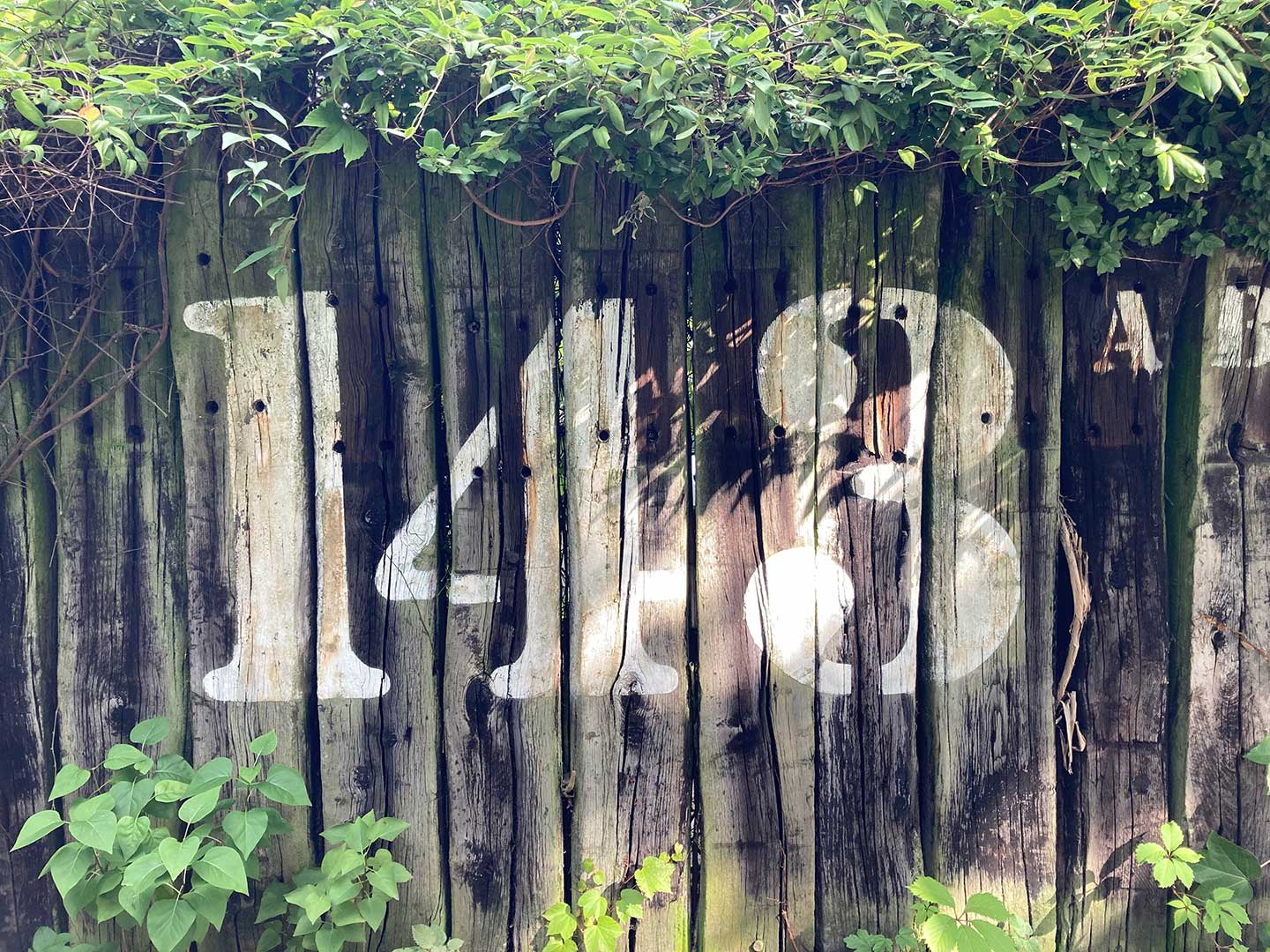 Stencil Std Bold Zaun